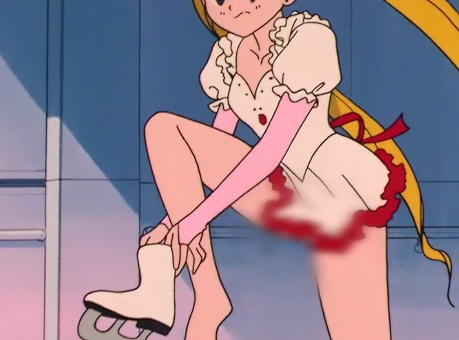 세일러문 정식 자막판 근황.JPG_1.jpg