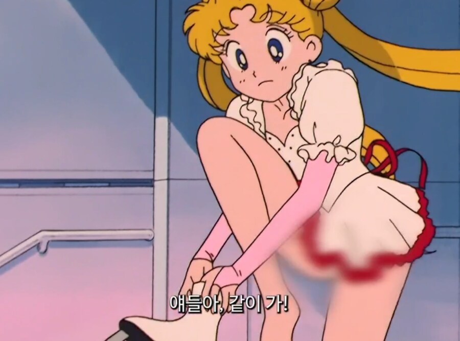 세일러문 정식 자막판 근황.JPG_3.jpg