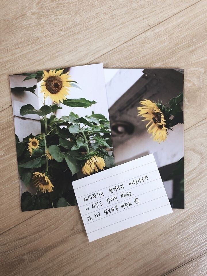 낭만 넘치는 해바라기 편지.jpg_2.jpg