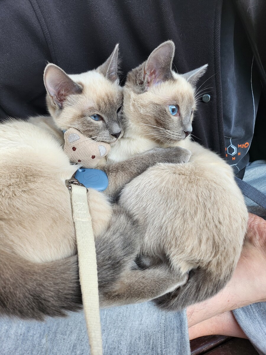 5090 매트릭스 ~~ 너만 오면 끝난다._6.jpg