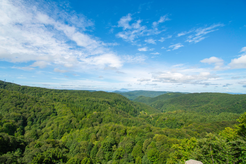 100년 전 분위기를 느낄 수 있는 사과의 고장 히로사키_1.jpg