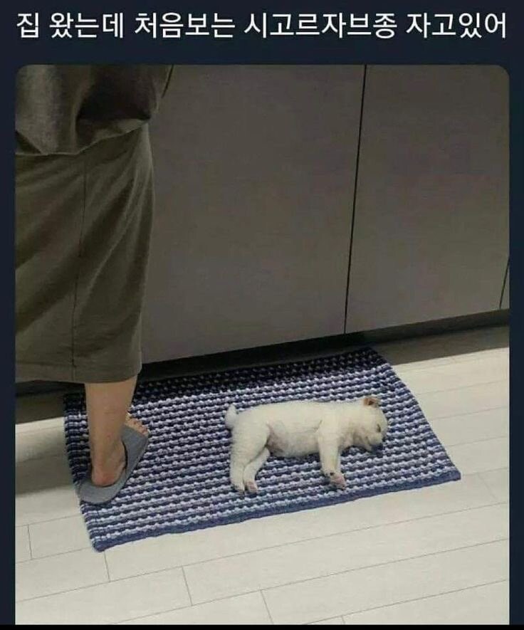 집에 왔는데 모르는 애가 이러고 자고 있으면 어캄?_1.jpg