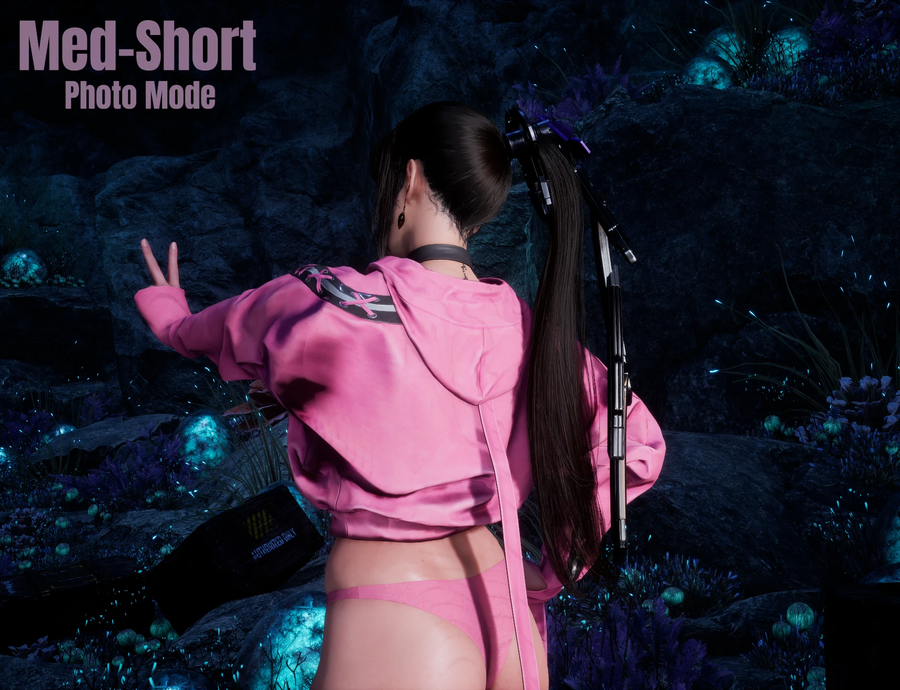 제가 쓰는 포니테일 모드_1.webp