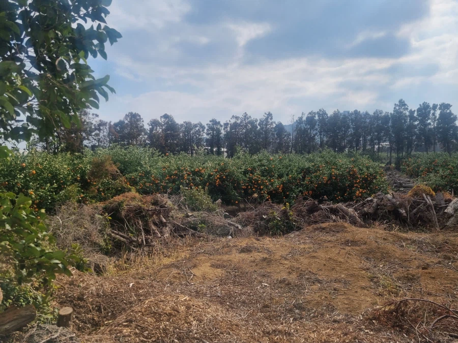 엄청 오랜만의 제주도_16.webp