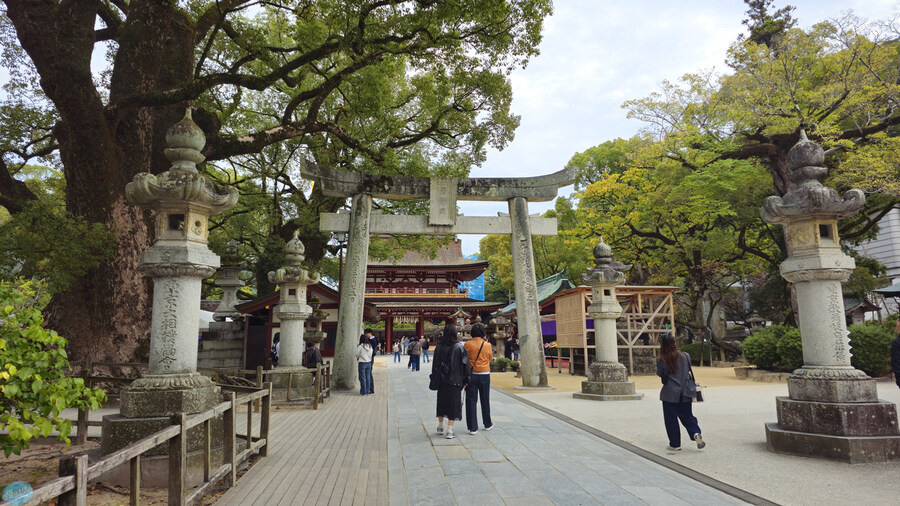 한국인 관광객들이 많이 가는 장소에 가봤는데.. 후쿠오카 2일차_35.jpg
