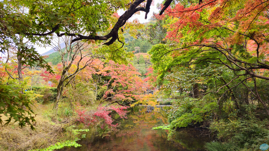 한국인 관광객들이 많이 가는 장소에 가봤는데.. 후쿠오카 2일차_89.jpg
