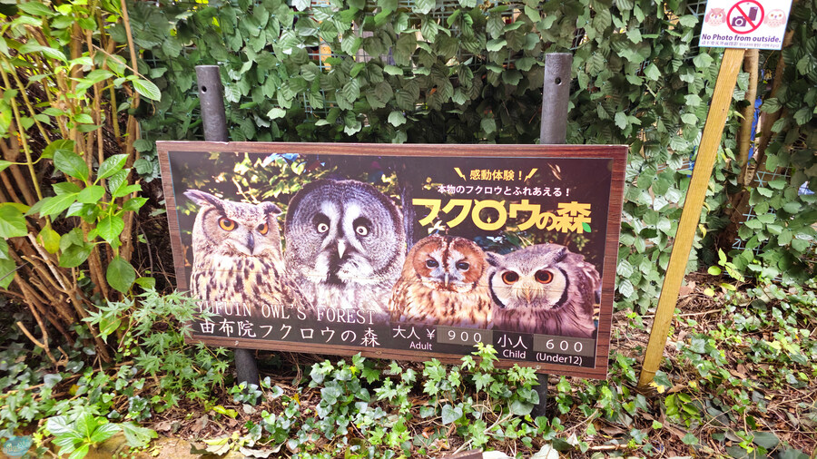 한국인 관광객들이 많이 가는 장소에 가봤는데.. 후쿠오카 2일차_113.jpg