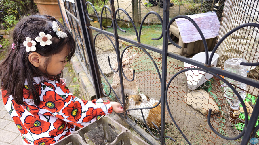 한국인 관광객들이 많이 가는 장소에 가봤는데.. 후쿠오카 2일차_115.jpg