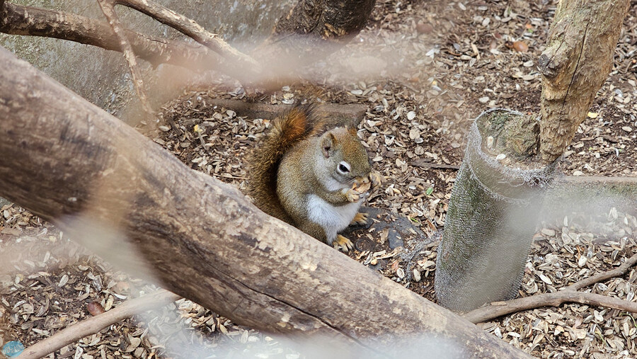 한국인 관광객들이 많이 가는 장소에 가봤는데.. 후쿠오카 2일차_117.jpg