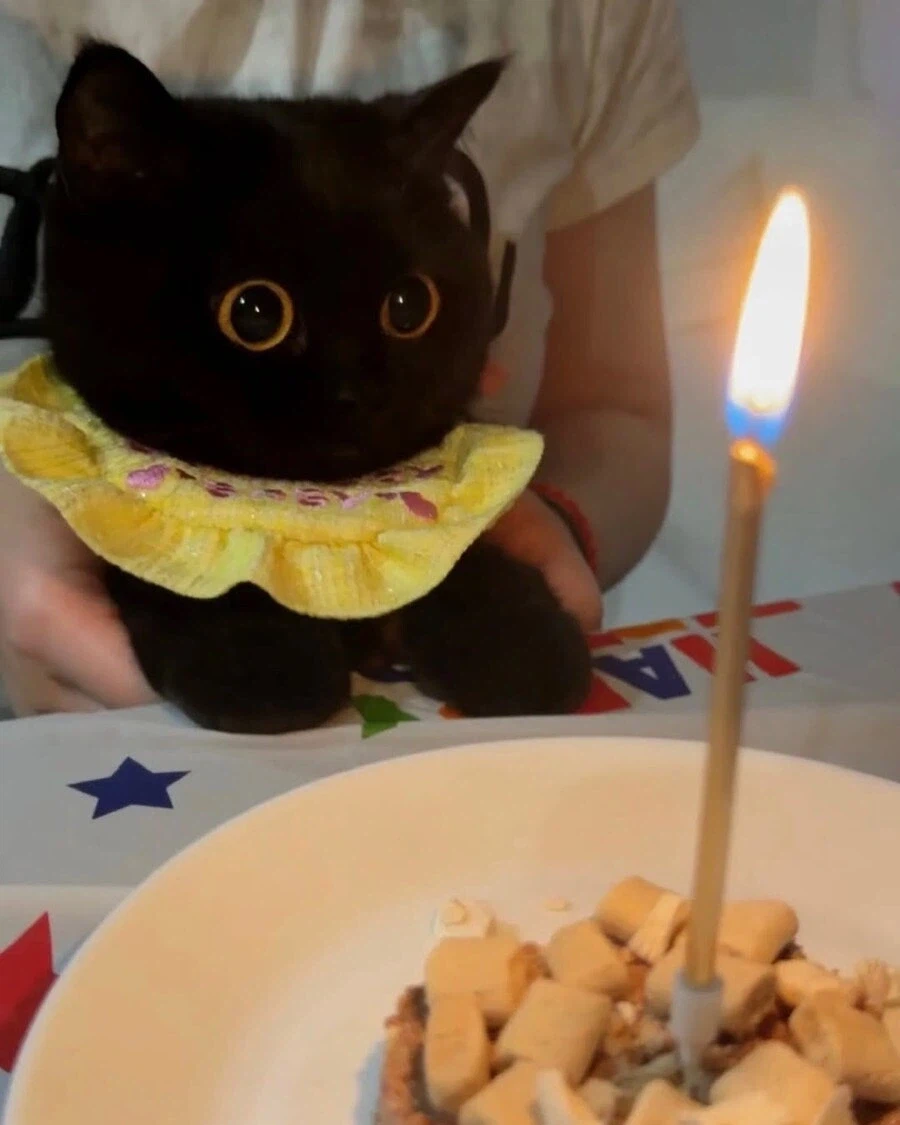 [혐] 이 와중에 또 사고 친 "그 인간"_2.webp