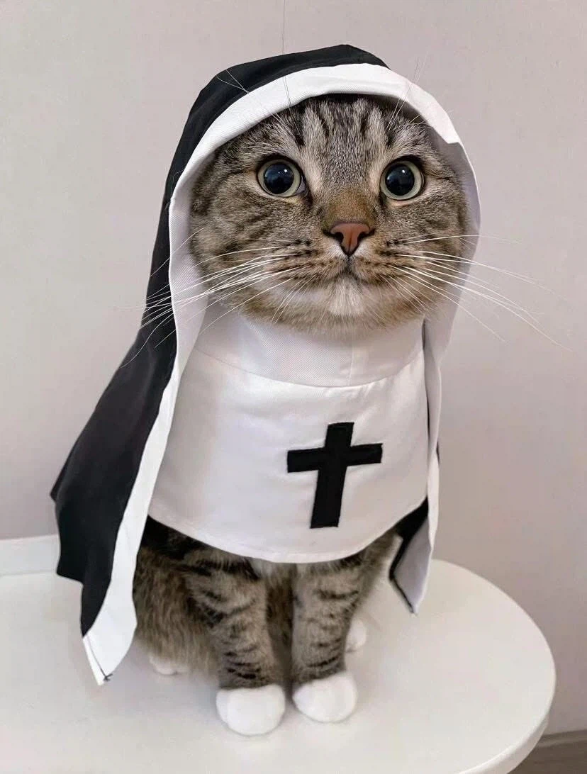 [혐] 이 와중에 또 사고 친 "그 인간"_3.webp