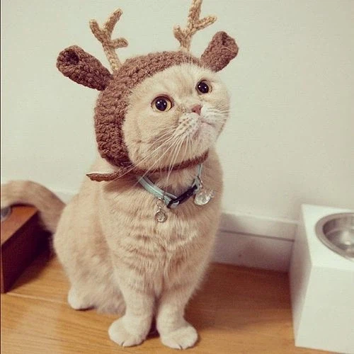 [혐] 이 와중에 또 사고 친 "그 인간"_4.webp