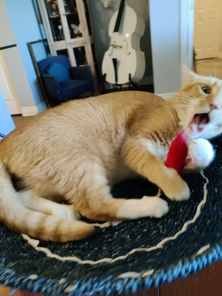 [혐] 이 와중에 또 사고 친 "그 인간"_8.webp