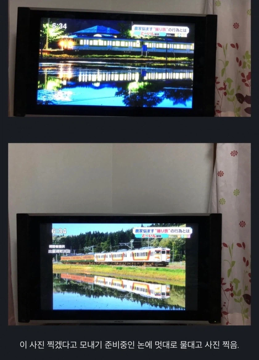 일본 철덕 민폐 이유...._3.webp