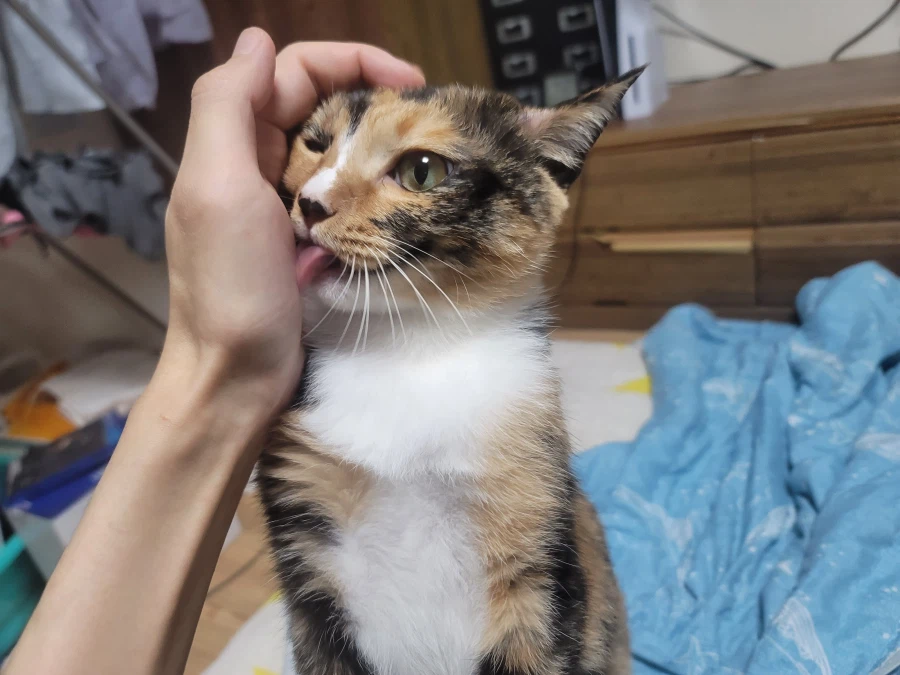 추탭갈) 라면으로 며칠간 끼니 버티는 중인 백수유게이_3.webp