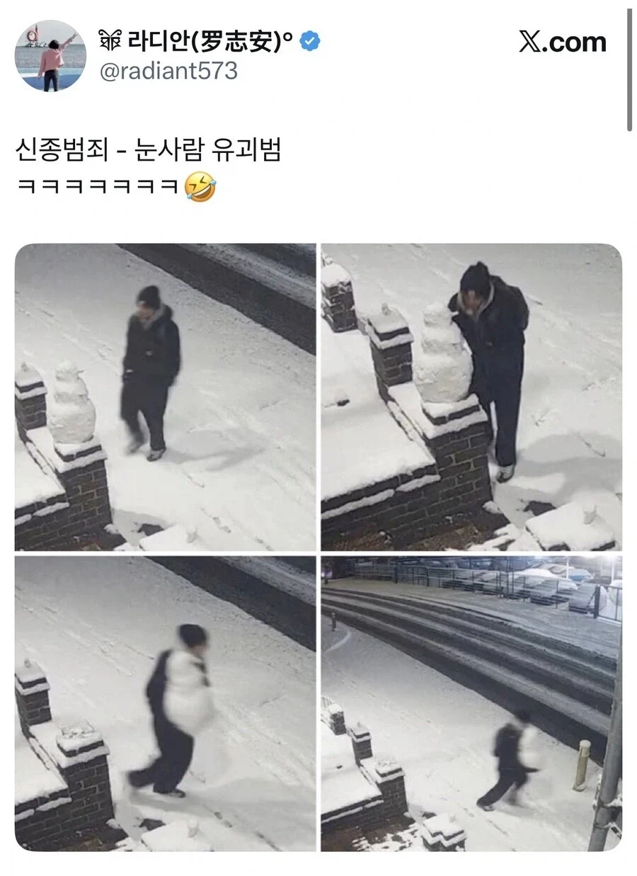 신규 눈사람 빌런.jpg_1.webp