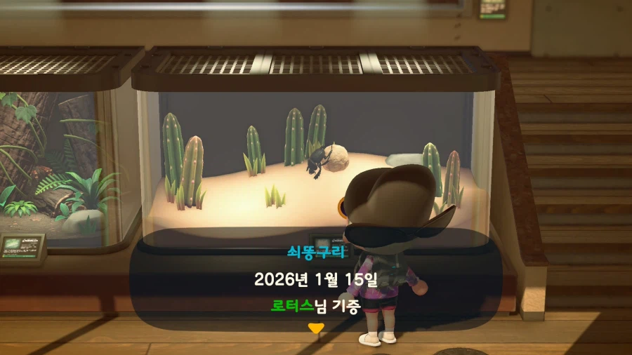 동숲) 3.0 패치, 동물의 숲은 정말 갓겜이다_18.webp