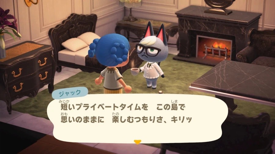 NS2+3.0 업데이트 모여봐요 동물의 숲 스샷 모음_26.webp