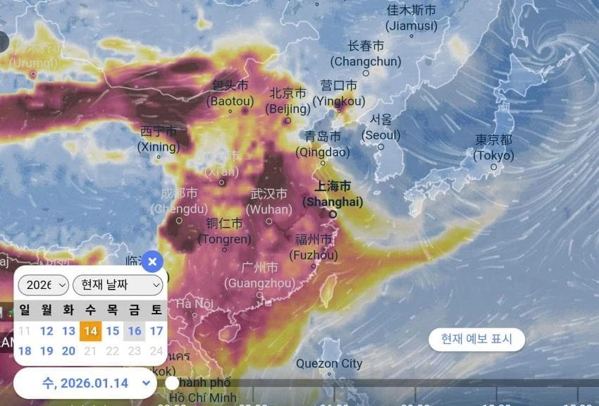 짱ㄲㅐ발 미세먼지 근황...._1.webp