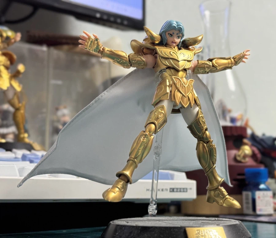 블로키 골드세인트용 망토를 샀어요._4.webp