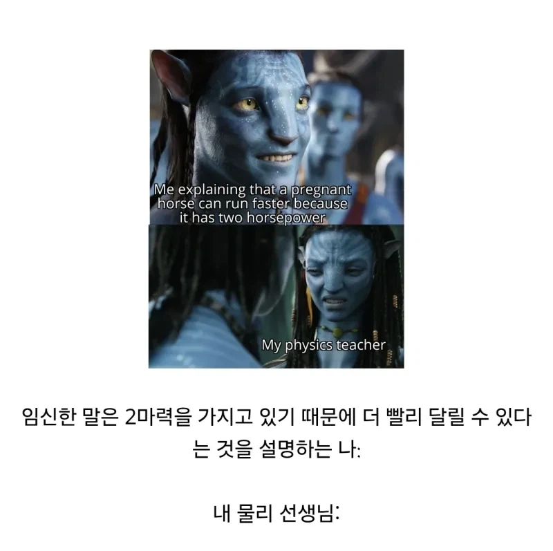 임신한 말이 더 빨리 달리는 이유_1.webp