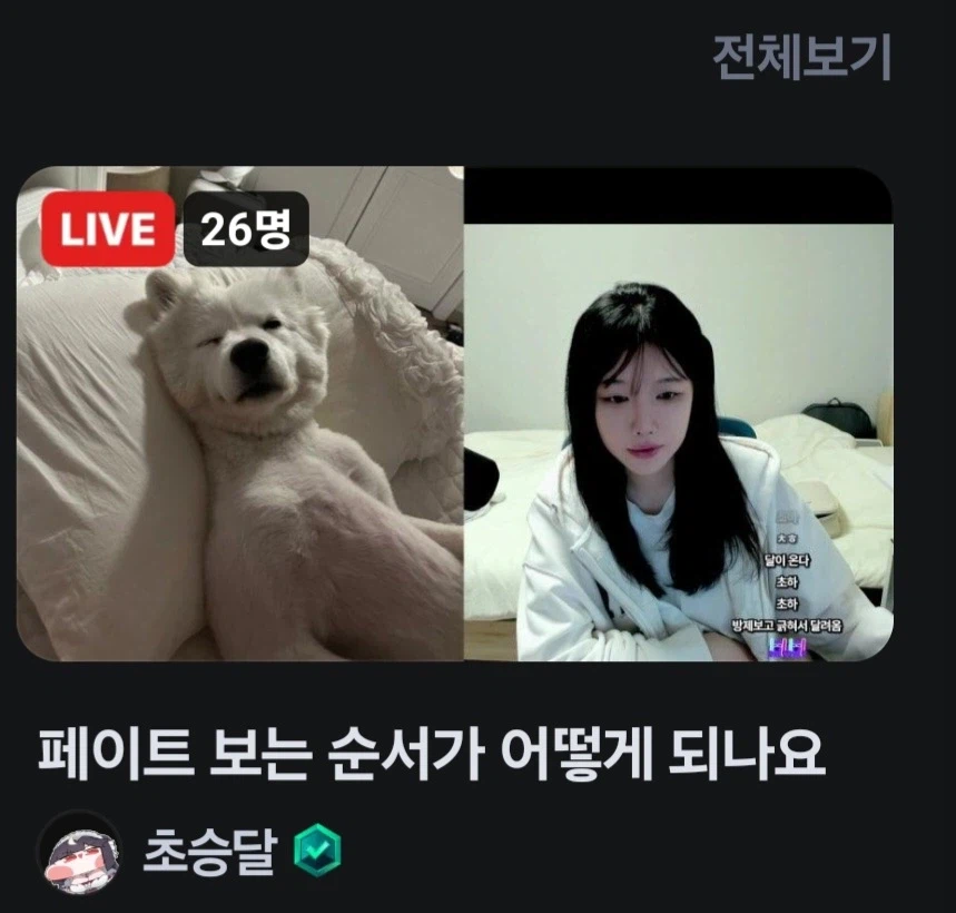 인방) 페이트 팬들을 자극할수 있는 방제_1.webp