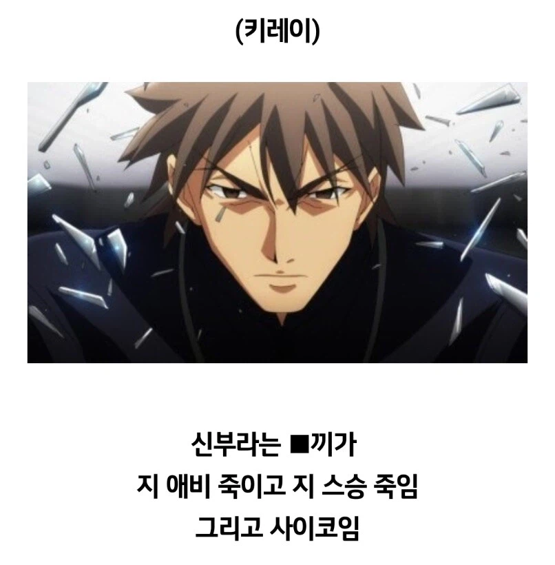 페이트 제로를 추천대로 다 본 뉴비의 후기.jpg_4.webp