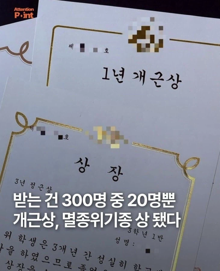 요즘 멸종위기종이 되어간다는 학교 상장.jpg_1.webp