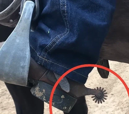 일상에서도 쓰는 단어지만 실체는 보통 모르는 것_2.webp