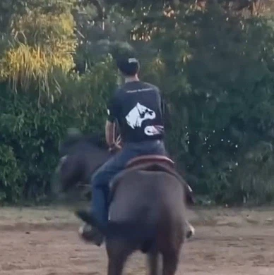 일상에서도 쓰는 단어지만 실체는 보통 모르는 것_3.webp