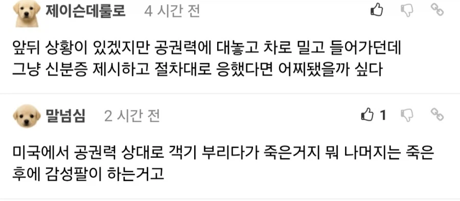 어떻게든 ICE를 쉴드치고 싶어하는 MAGA들의 논리_1.webp