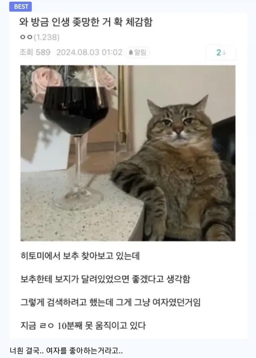 방금 인생 ↗망한거 확 체감함_1.webp