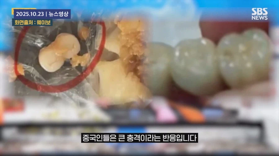 " 음식에 사람 고기를 섞은 것 아니냐 "_24.webp