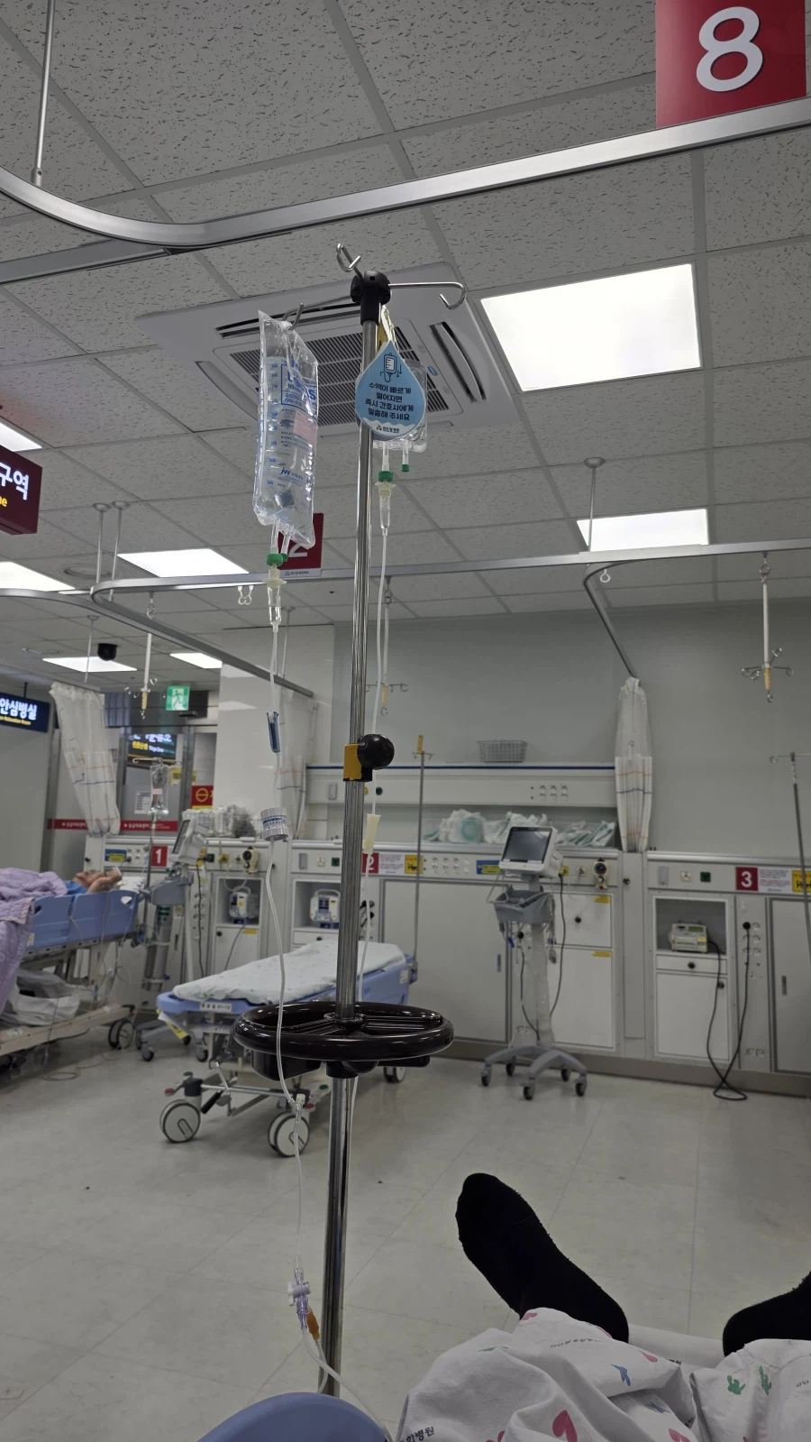 어제의 먹부림..._7.webp