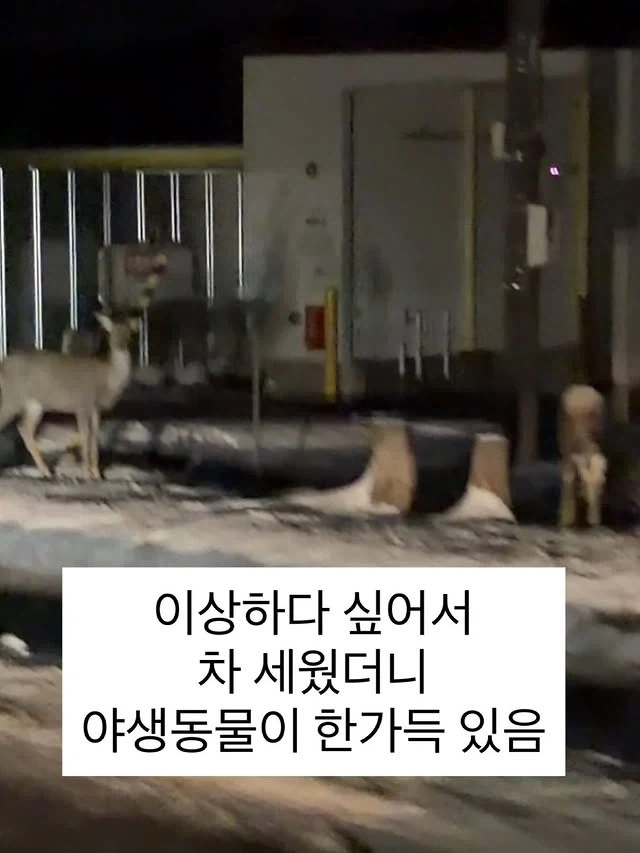 일본 여행 조짐_4.webp