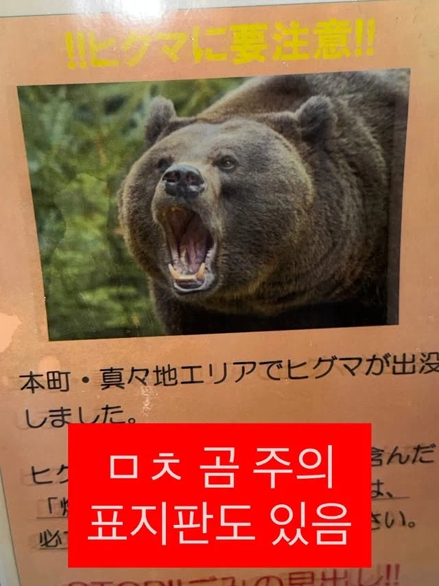 일본 여행 조짐_5.webp