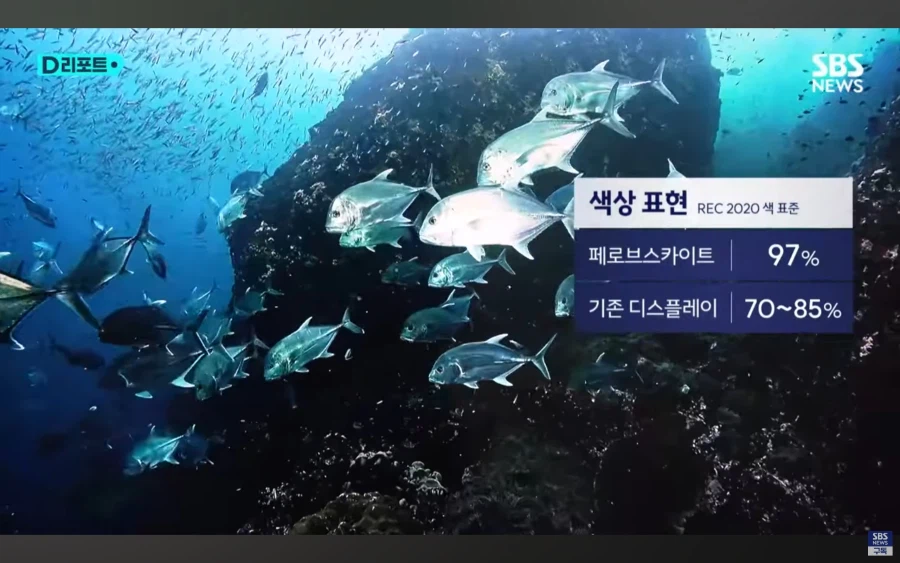 대한민국 근황.jpg_2.webp