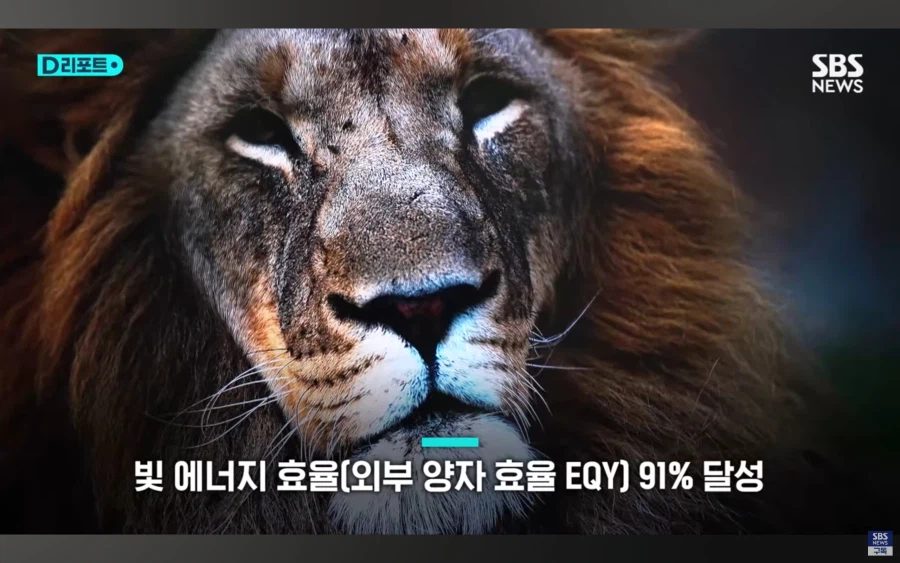 대한민국 근황.jpg_3.webp