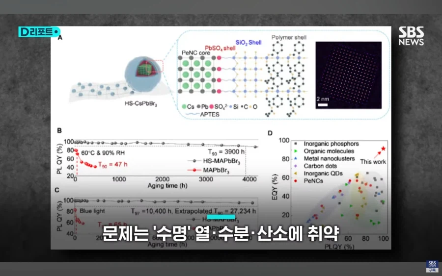 대한민국 근황.jpg_7.webp