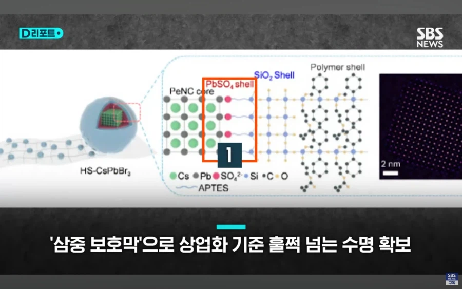 대한민국 근황.jpg_8.webp