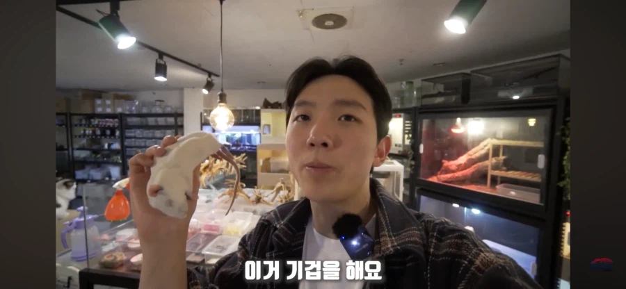 파충류 먹이용 쥐관련 놀라는 부분_8.webp
