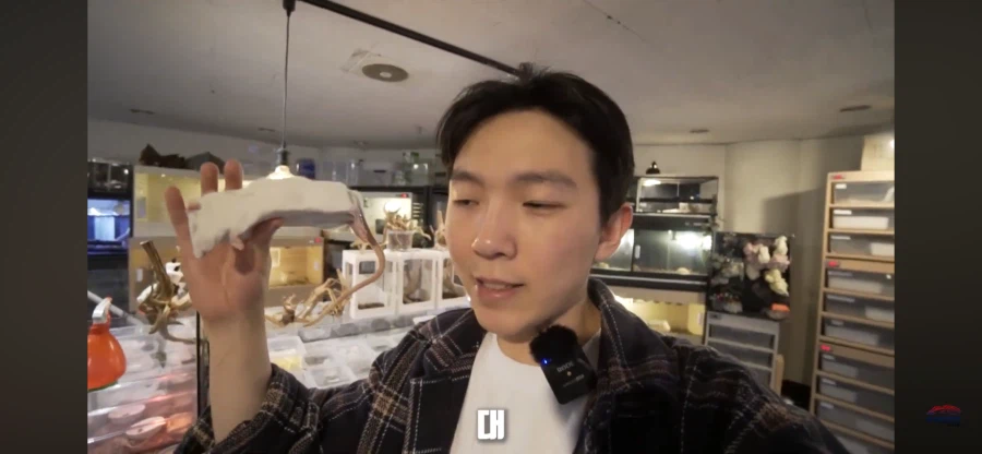 파충류 먹이용 쥐관련 놀라는 부분_12.webp