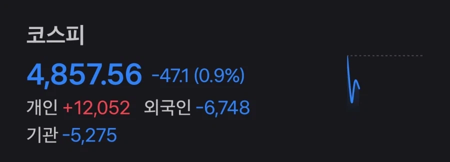 국장) ??? : 아니 지금 인버스를 들어간다고? 미친거 아님?_3.webp