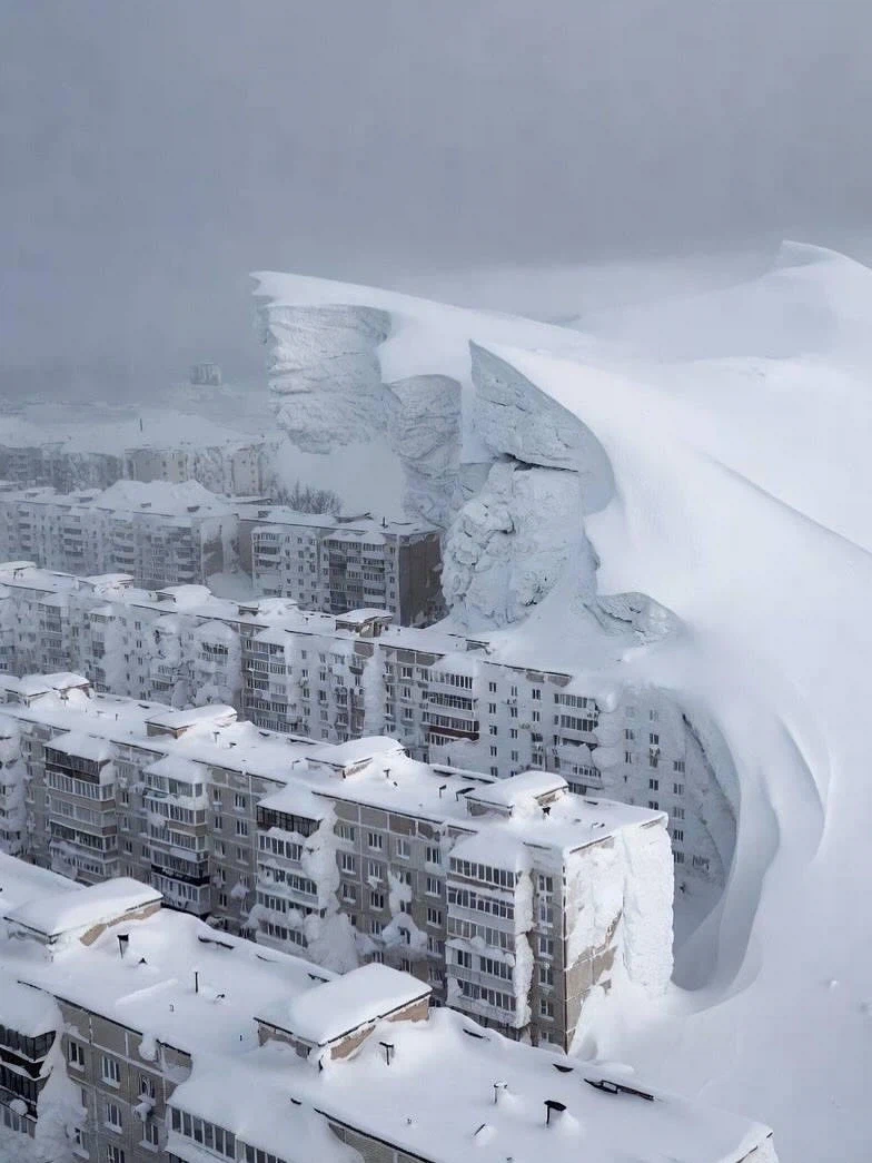 시베리아 캄챠카 반도 근황_1.webp