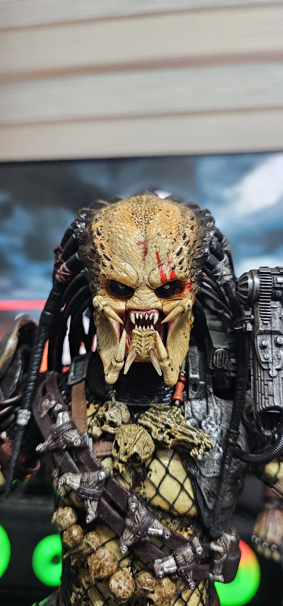 수집한 핫토이 에일리언, 프레데터 들_19.webp