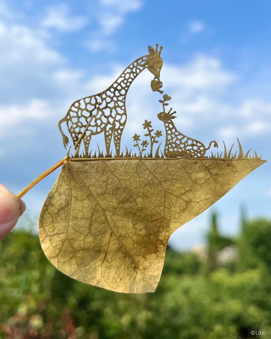 30살에 ADHD 판정 받고 시작한 예술_7.webp