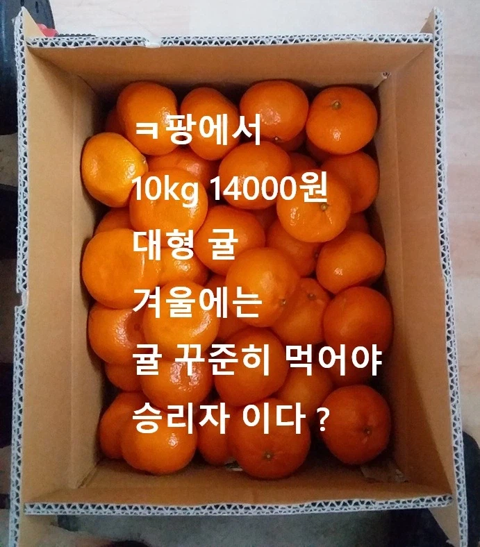 0120 운동일지: "군밤모자 White" 편_5.webp
