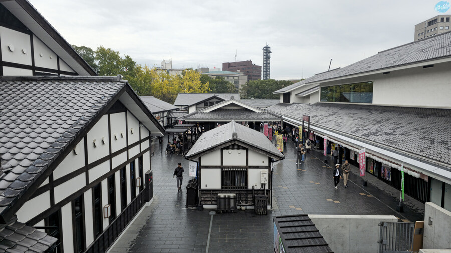인생 최초로 접근해본 활화산 화구.. 후쿠오카 여행 3일차_28.jpg