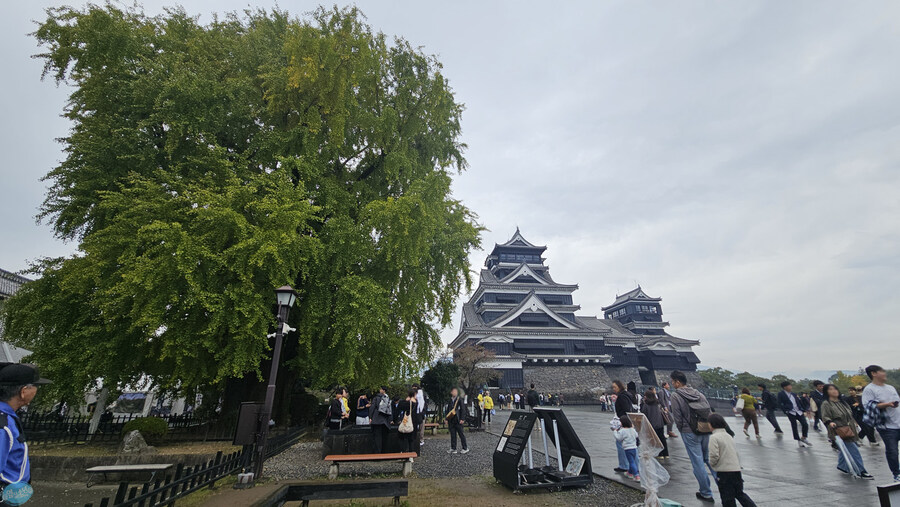 인생 최초로 접근해본 활화산 화구.. 후쿠오카 여행 3일차_36.jpg