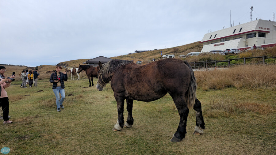 인생 최초로 접근해본 활화산 화구.. 후쿠오카 여행 3일차_117.jpg